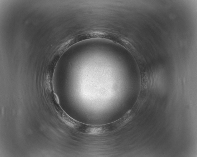X0000080680575200612151226