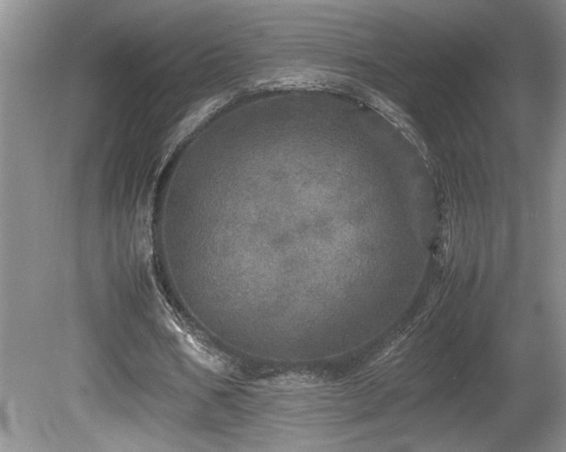 X0000080680578200612151225