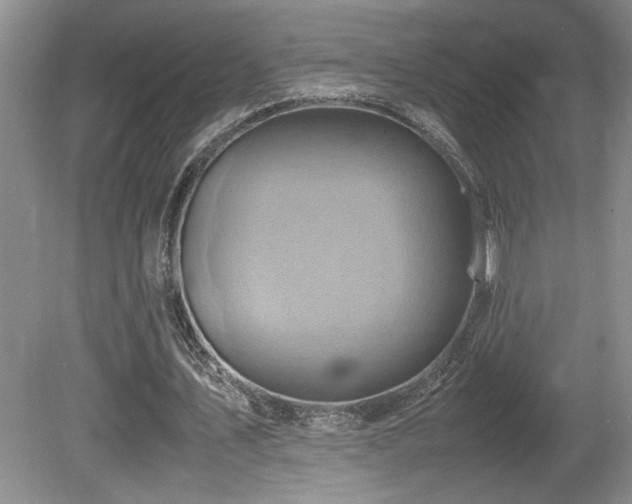 X0000080680579200612151225