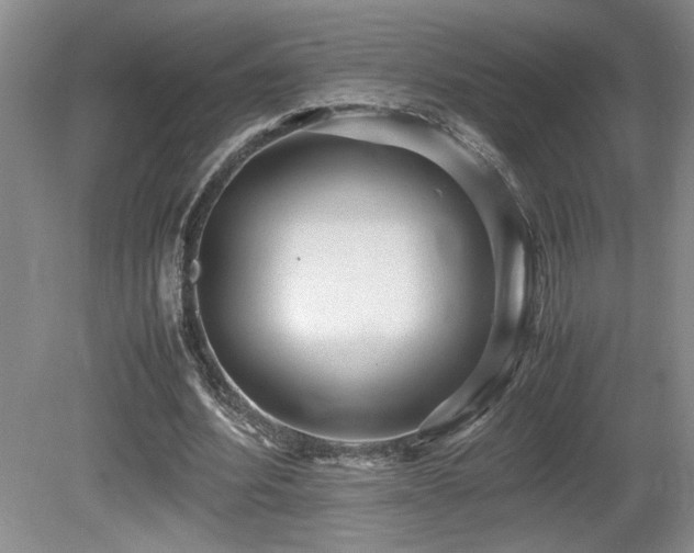 X0000080680580200612151225