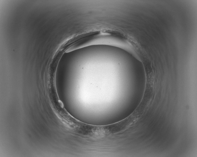 X0000080680587200612151225