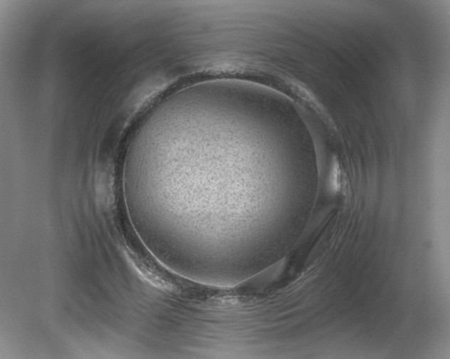 X0000080680588200612151225
