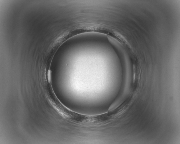 X0000080680589200612151225