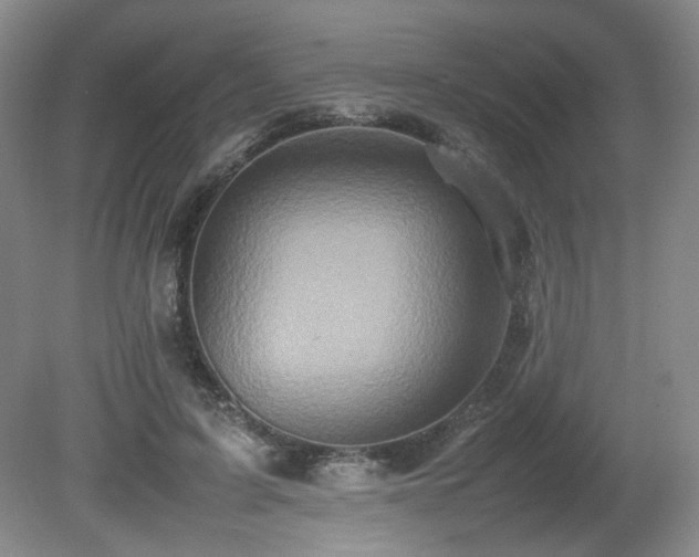 X0000080680595200612151225