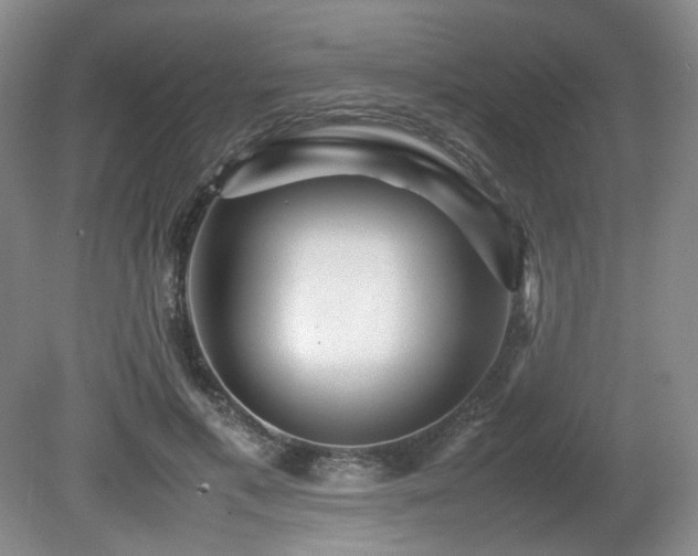 X0000080680597200612151225
