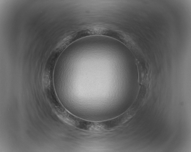 X0000080680599200612151225