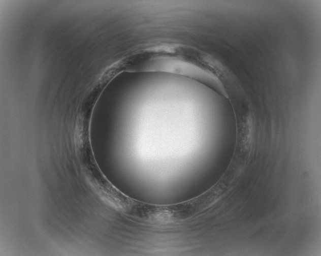 X0000080680600200612151225