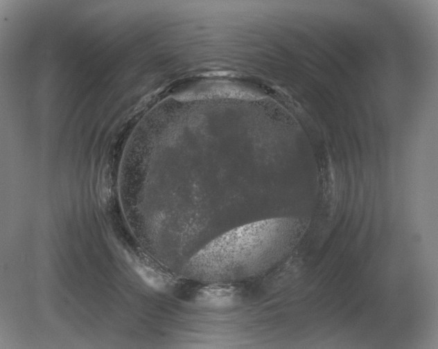 X0000080680606200612151225