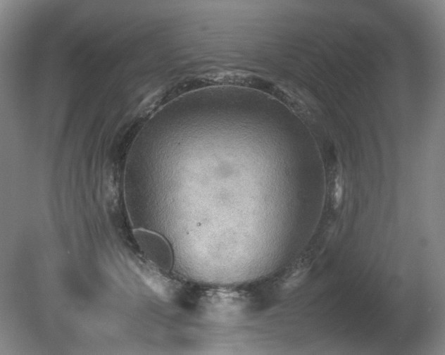 X0000080680607200612151225