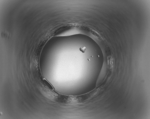 X0000080680613200612151224