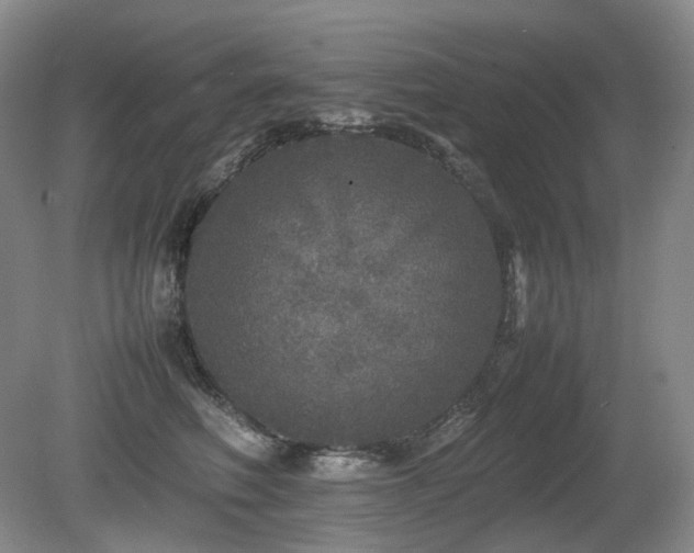 X0000080680614200612151224