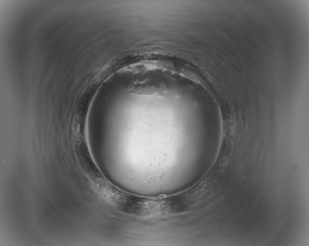 X0000080680615200612151224