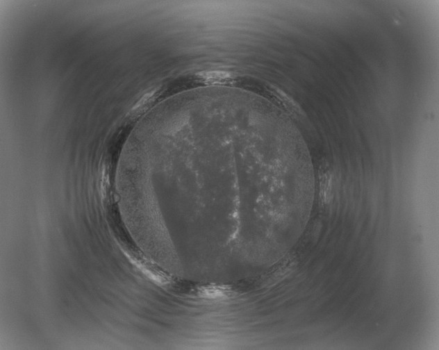 X0000080680618200612151224