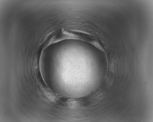 X0000080680620200612151224