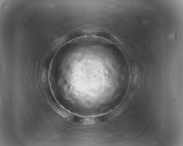 X0000080680623200612151224