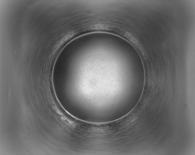 X0000080680625200612151223