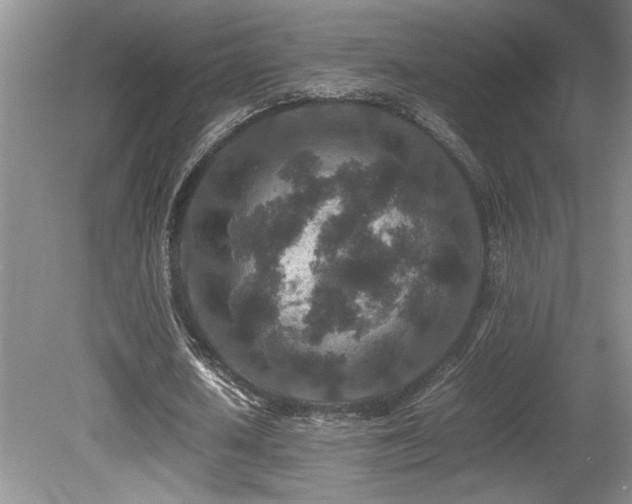 X0000080680626200612151223