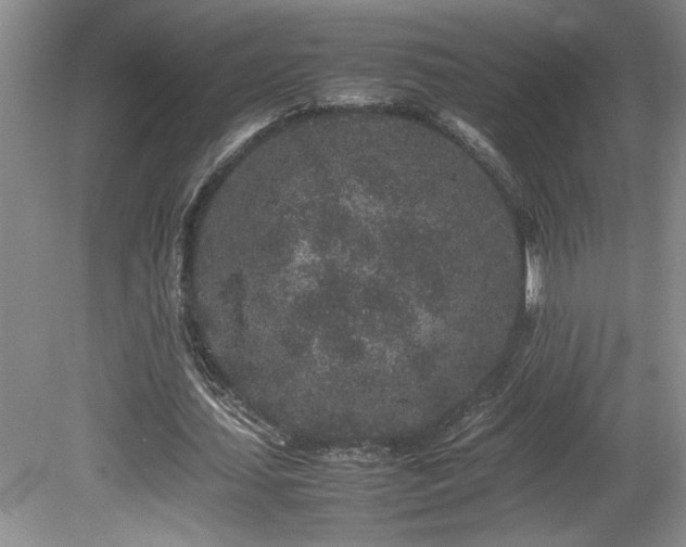 X0000080680627200612151223