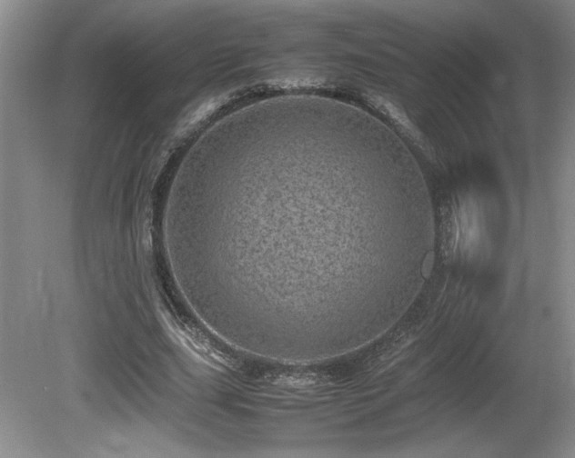 X0000080680631200612151224