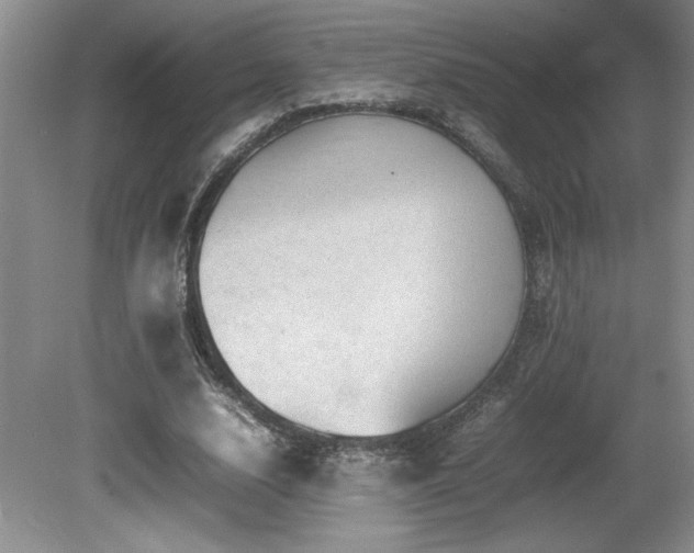 X0000080680632200612151224