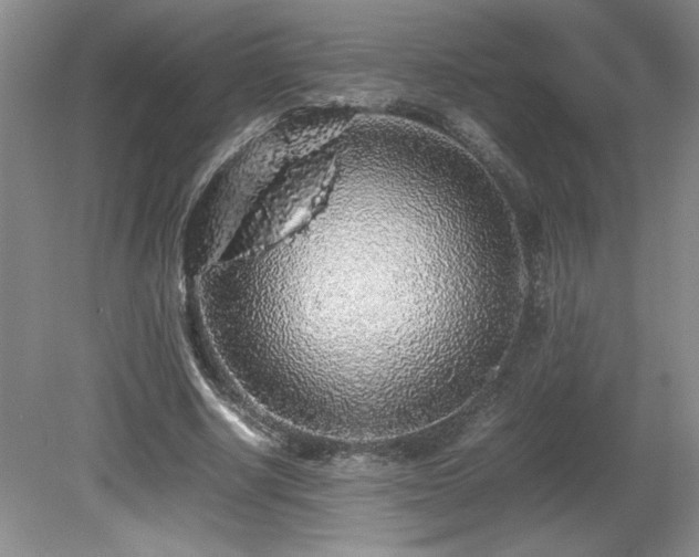 X0000080680634200612151224