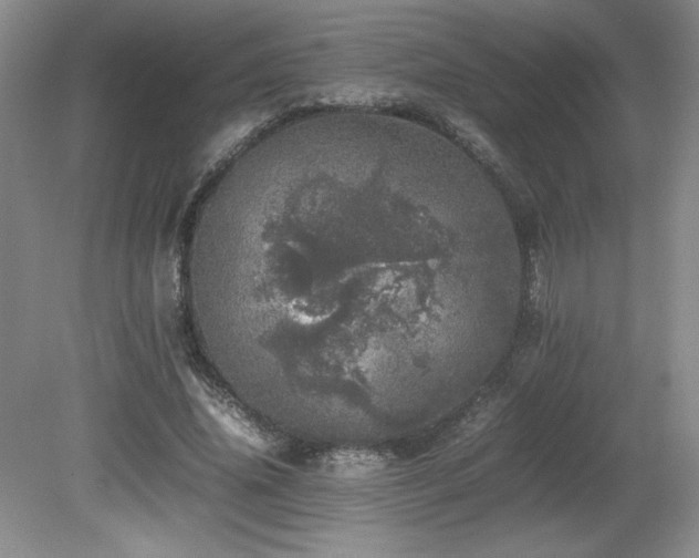 X0000080680636200612151224