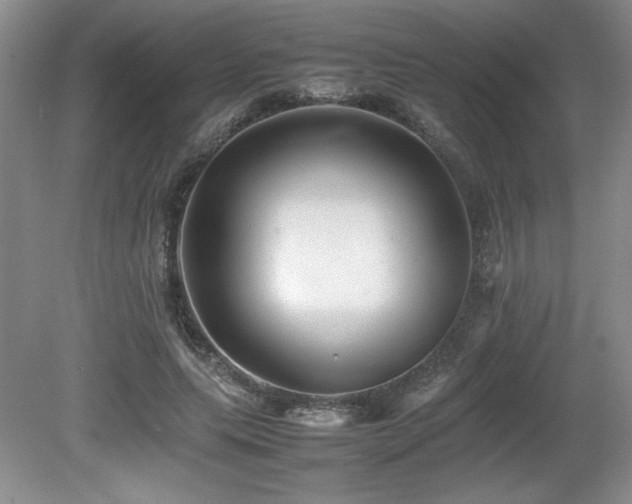 X0000080680639200612151224