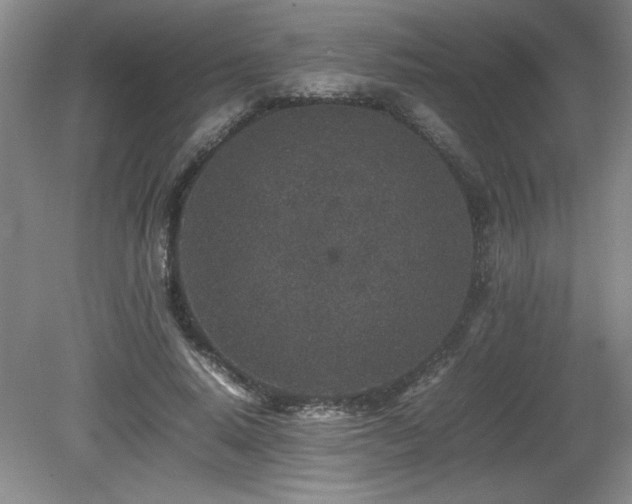 X0000080680640200612151224