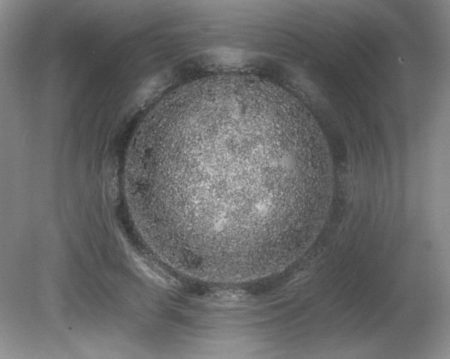 X0000080680642200612151224