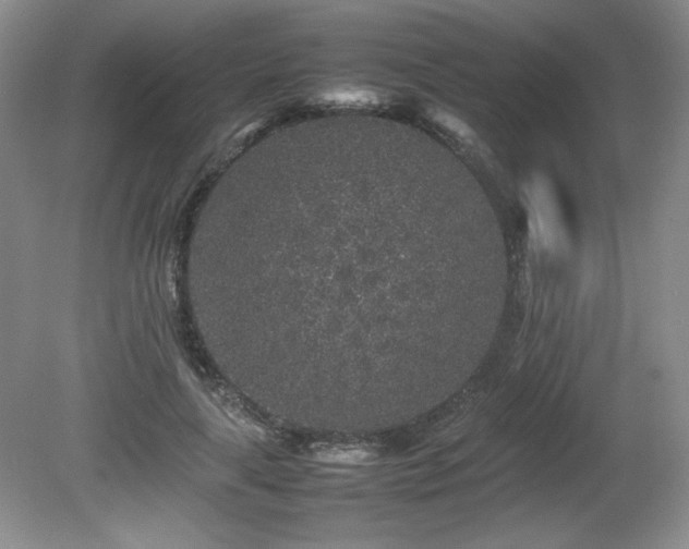 X0000080680643200612151224