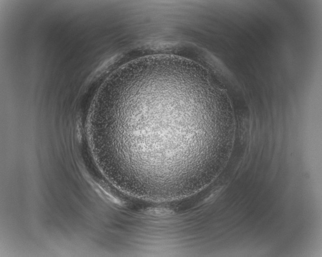 X0000080680644200612151224