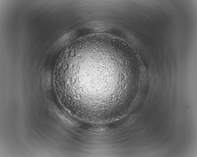 X0000080680646200612151224