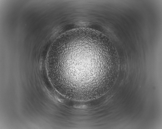 X0000080680647200612151224