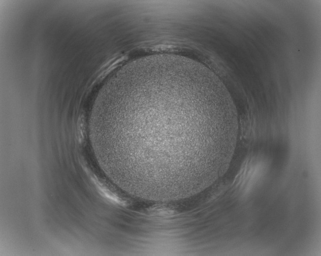 X0000080680648200612151224