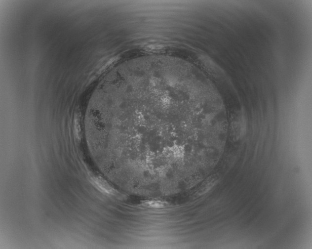 X0000080680654200612151224