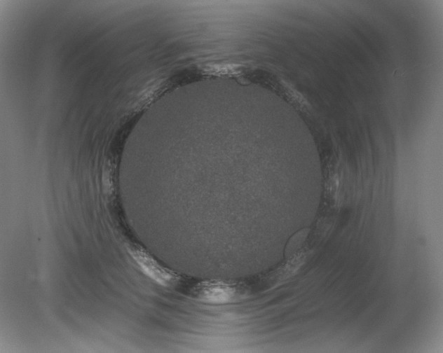 X0000080680658200612151224
