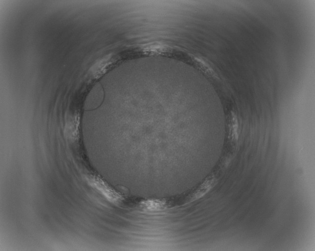 X0000080680660200612151224