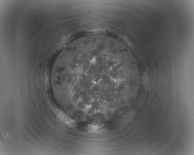 X0000080680662200612151224