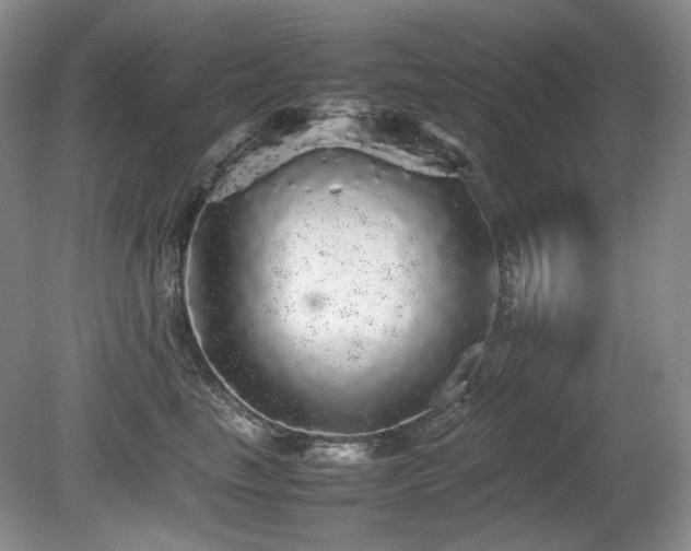 X0000080680665200612151224