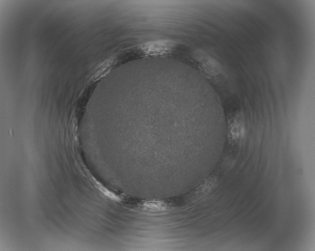 X0000080680666200612151224