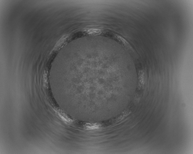 X0000080680667200612151224