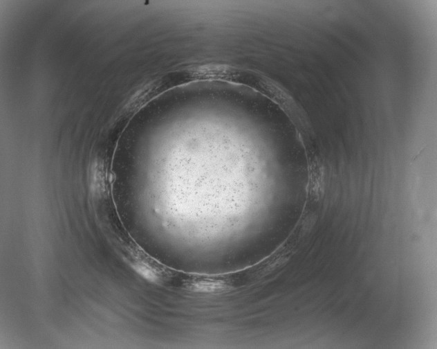 X0000080680669200612151224