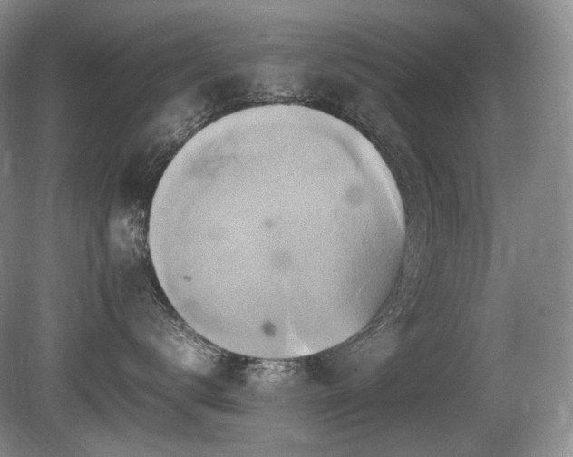 X0000080680672200612151224