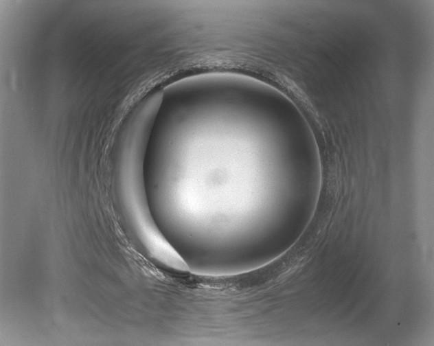 X0000080680673200612151223