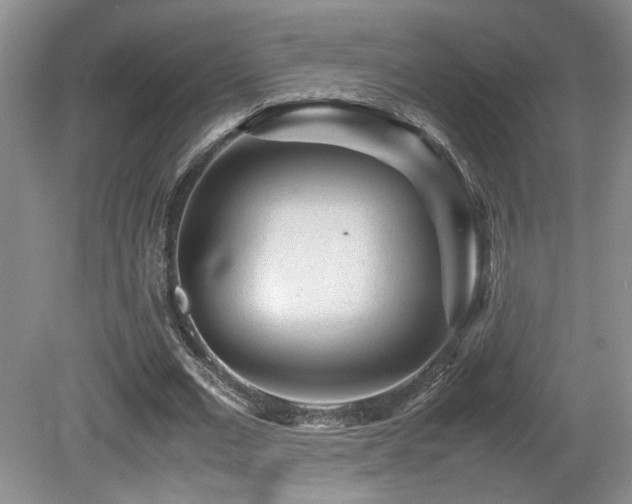 X0000080680677200612151223
