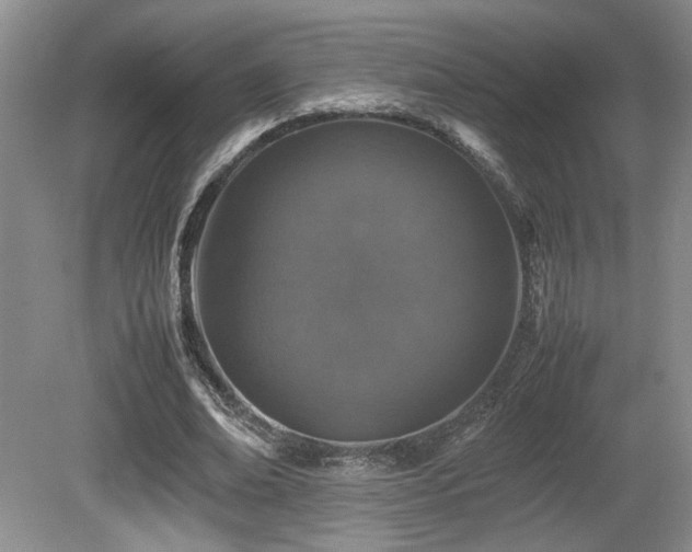 X0000080680678200612151223