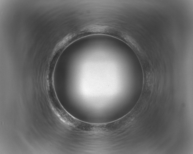 X0000080680682200612151223