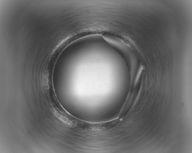 X0000080680684200612151223