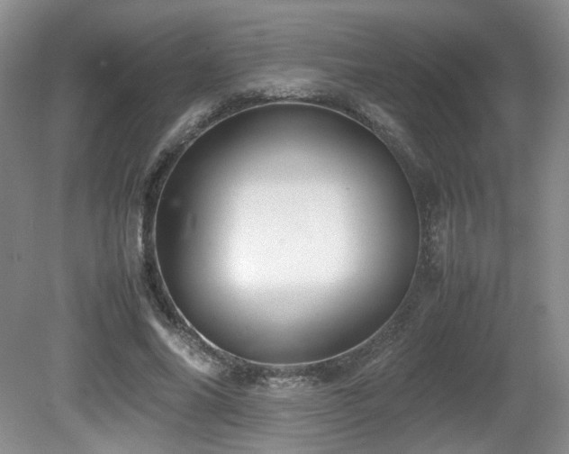 X0000080680686200612151223