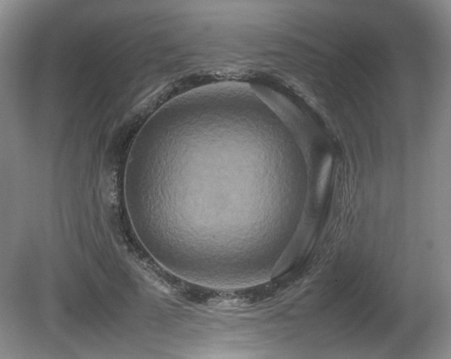 X0000080680689200612151223
